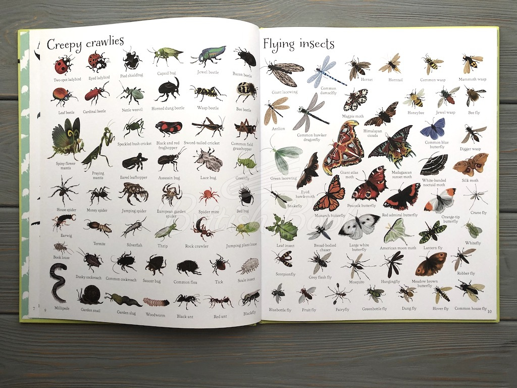 Книга 1000 Animals зображення 3