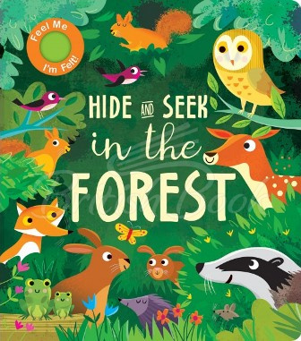 Книга Hide and Seek in the Forest зображення