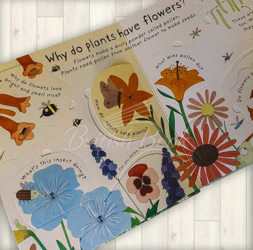 Книга Lift-the-Flap First Questions and Answers: How Do Flowers Grow? зображення 3