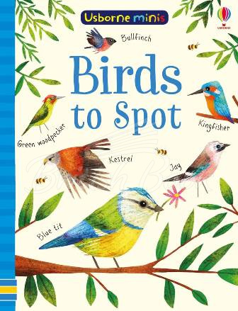 Книга Birds to Spot зображення