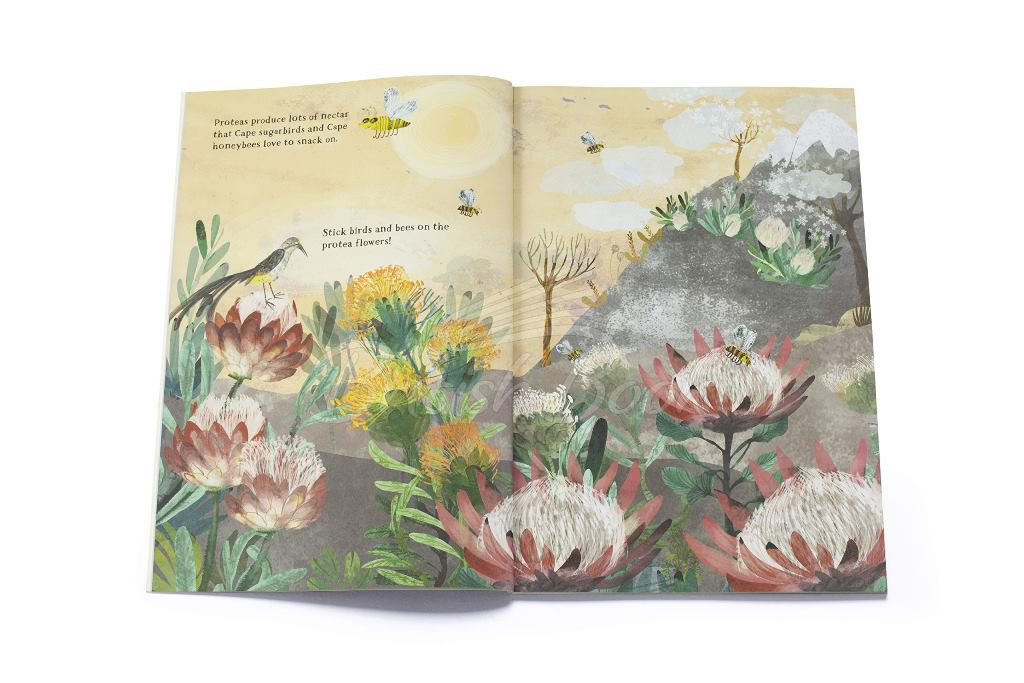 Книга The Big Sticker Book of Blooms зображення 2