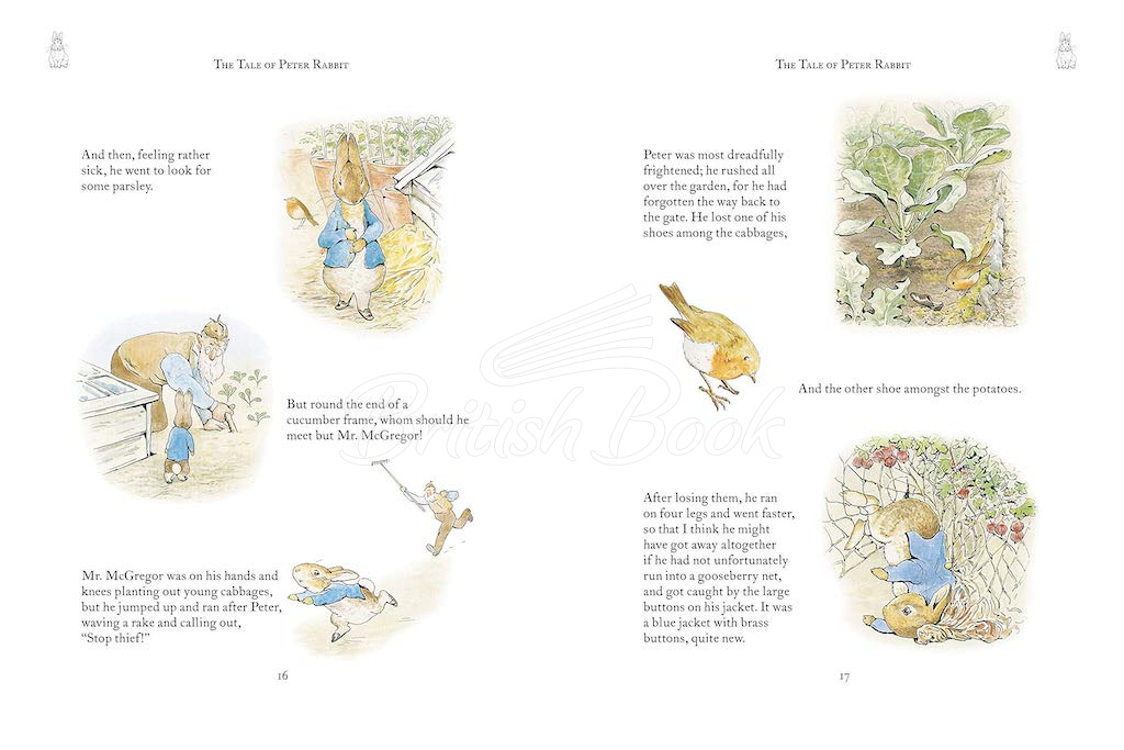 Книга The Complete Adventures of Peter Rabbit зображення 2