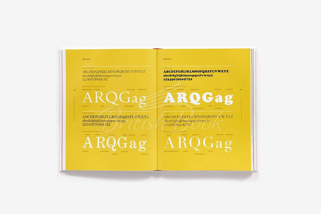 Книга The Designer's Dictionary of Type зображення 7