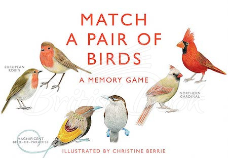 Карткова гра Match a Pair of Birds: A Memory Game зображення