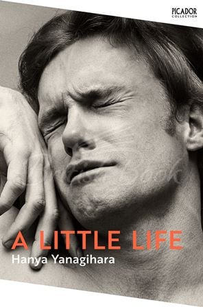 Книга A Little Life зображення