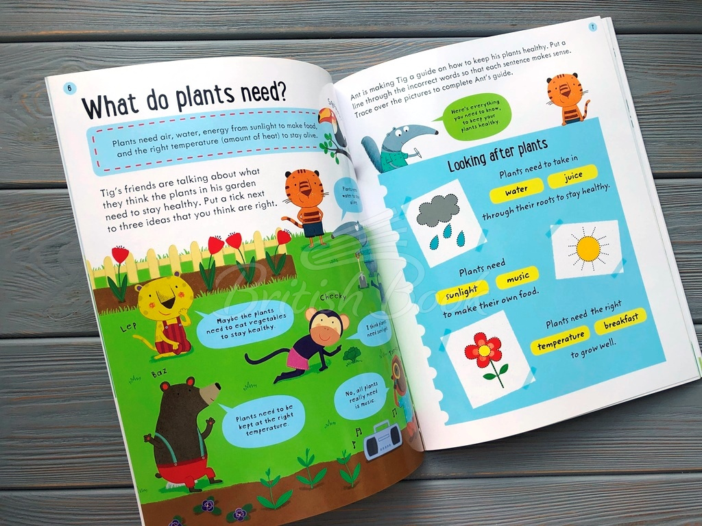Книга Wipe-Clean Finding out about Plants (Age 6 to 7) зображення 7