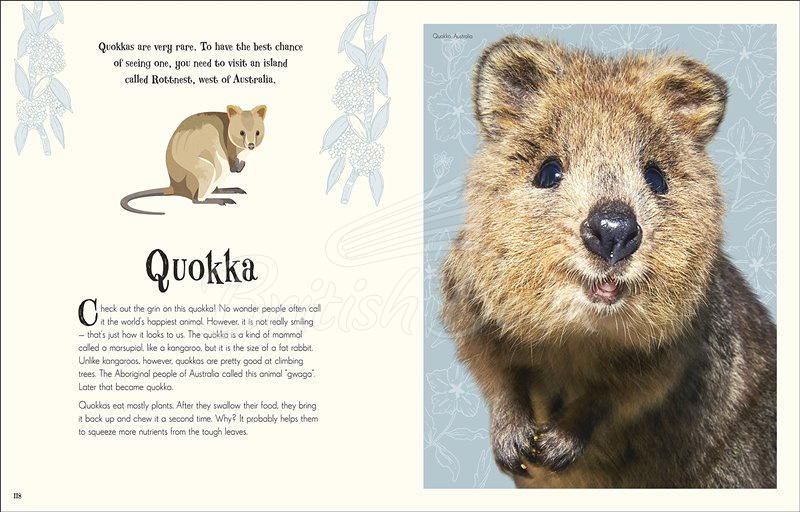 Книга An Anthology of Intriguing Animals зображення 6