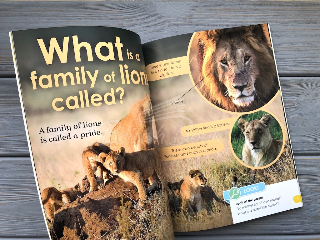 Книга BBC Earth: Do You Know? Level 1 Animal Families зображення 3