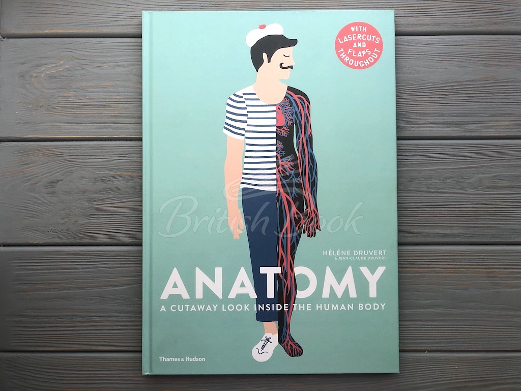 Книга Anatomy: A Cutaway Look Inside the Human Body зображення 1