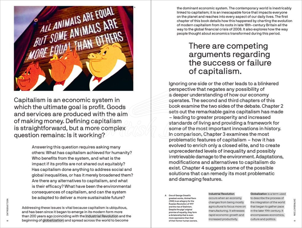 Книга Is Capitalism Working? зображення 3