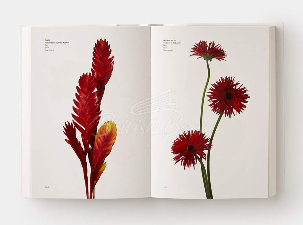 Книга Flower Colour Guide зображення 3