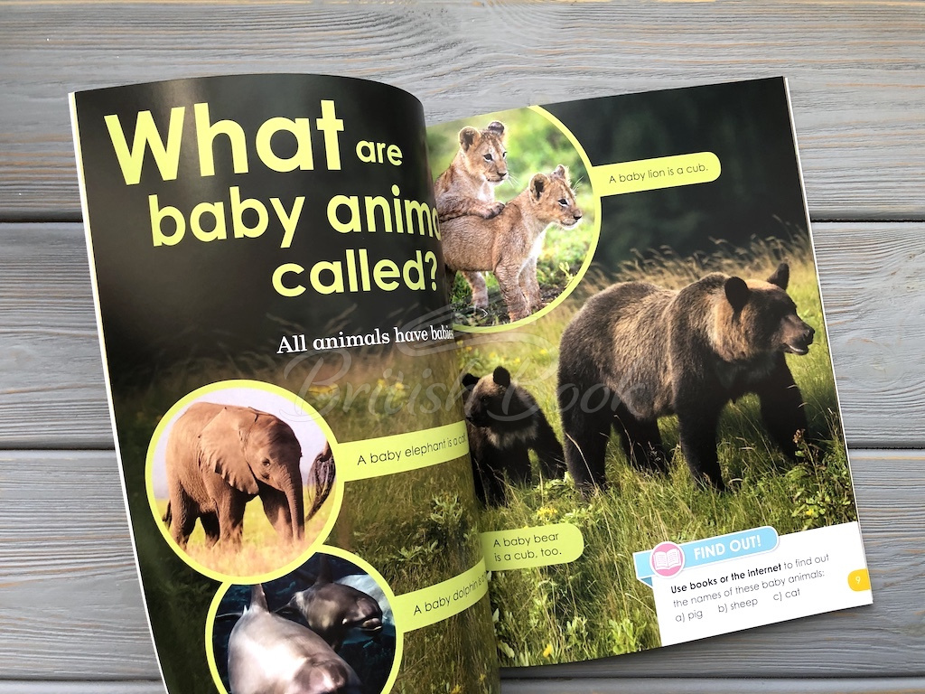 Книга BBC Earth: Do You Know? Level 1 Animal Families зображення 6
