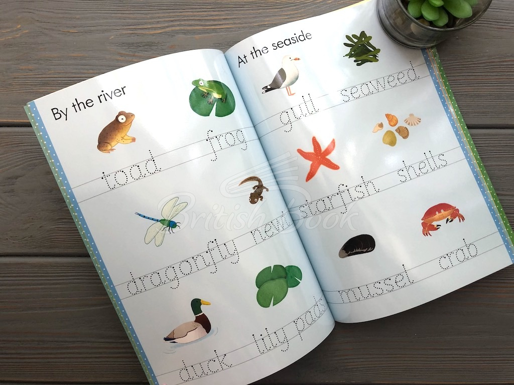 Книга Little Wipe-Clean Word Book: Outdoors зображення 6